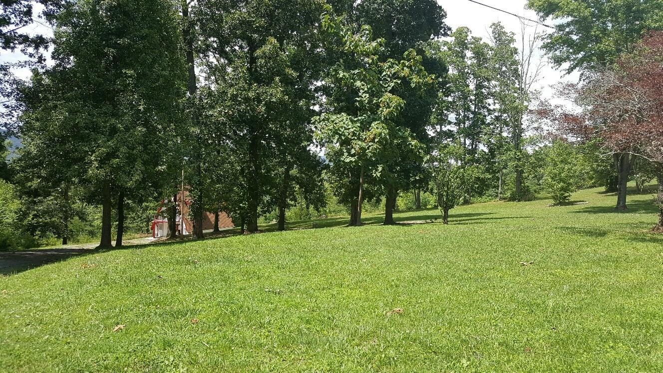 227 Chapman Road Dunlap, TN 37327 - Photo 7 of 22 Front Yard 2