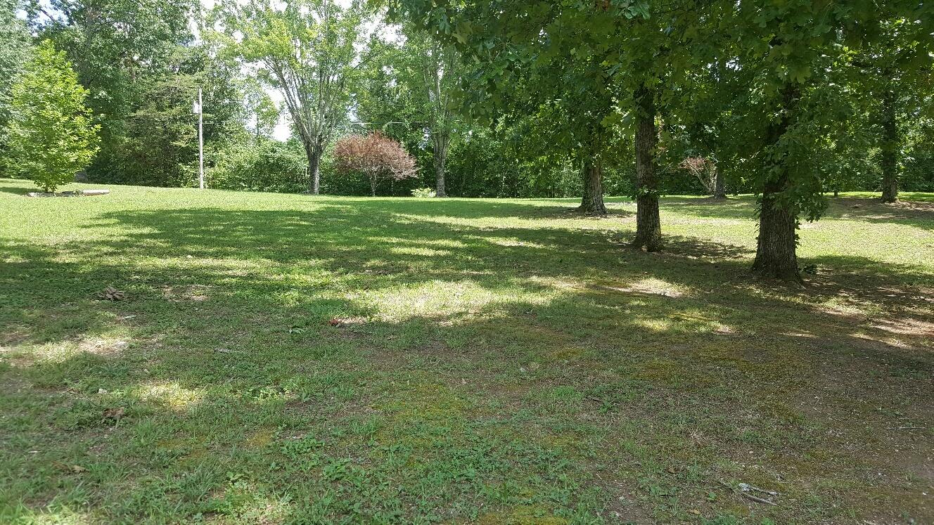 227 Chapman Road Dunlap, TN 37327 - Photo 8 of 22 Front Yard