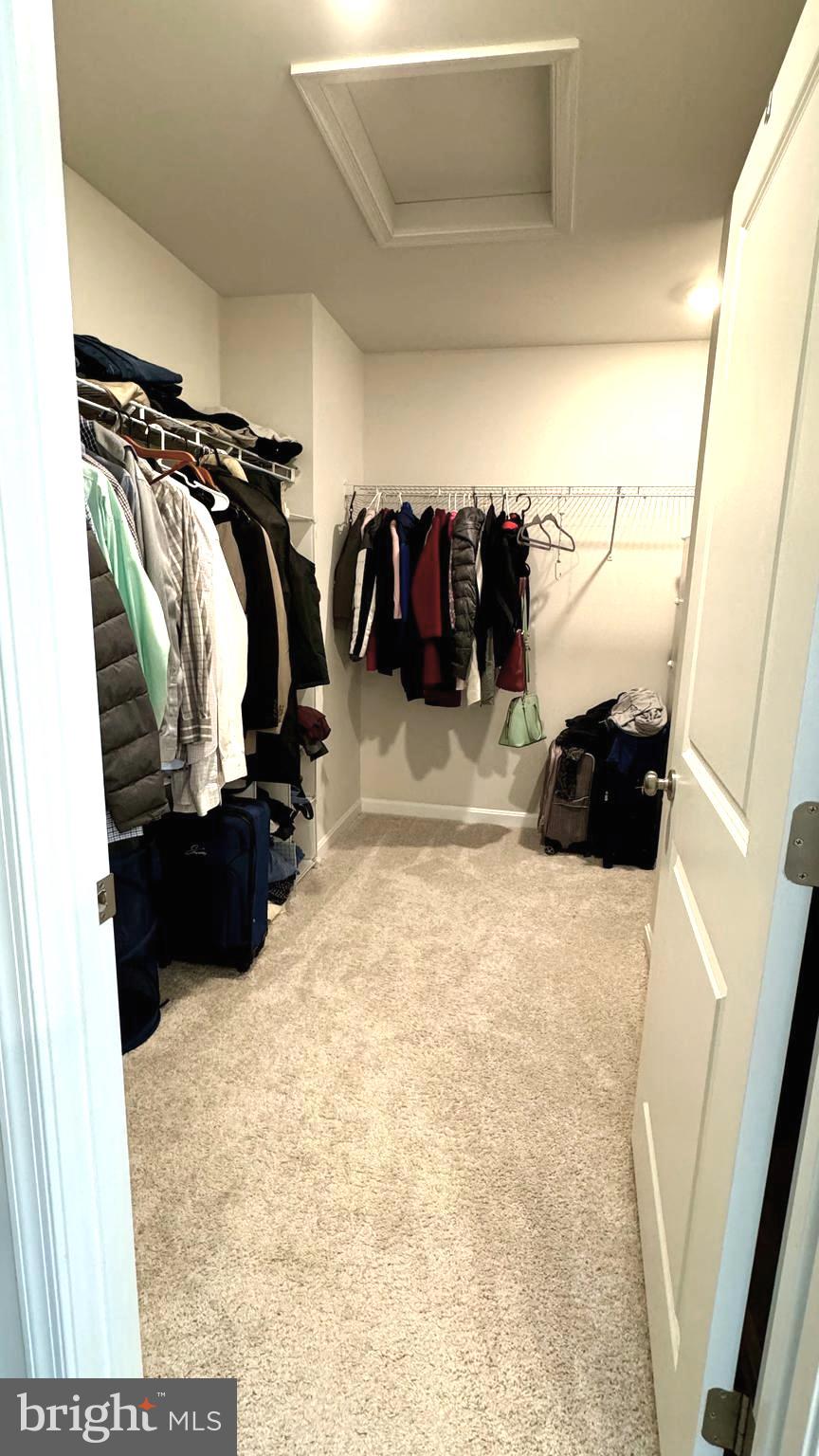 155 Knobby Hook Drive Hanover, PA 17331 - Photo 20 of 53 Primary large walk-in closet