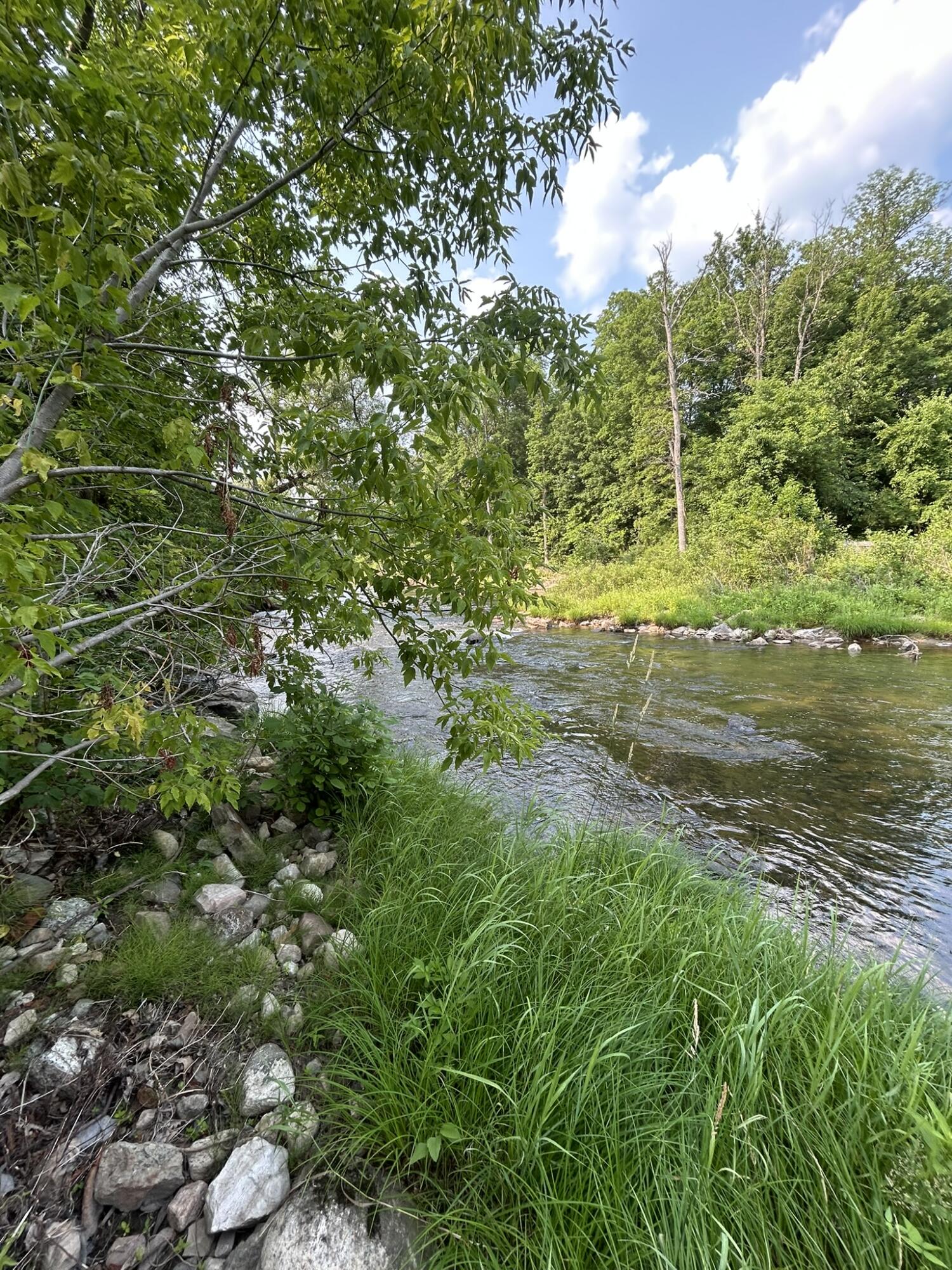 571 Cook Road Essex, NY 12936 - Photo 3 of 4 Riverview North