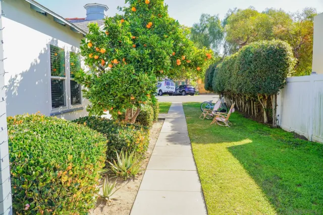 a view of a back yard