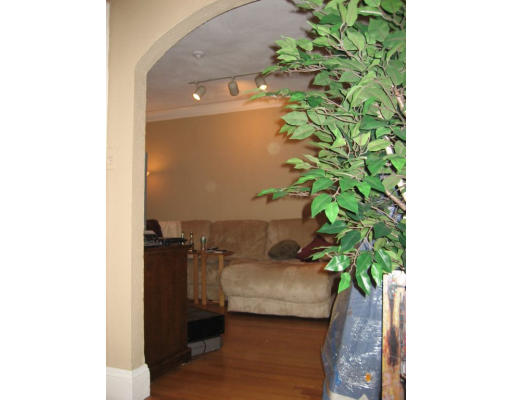 8 Chiswick Road, Unit 35 Boston, MA 02135 - Photo 4 of 16 a close up of a plant in a pot