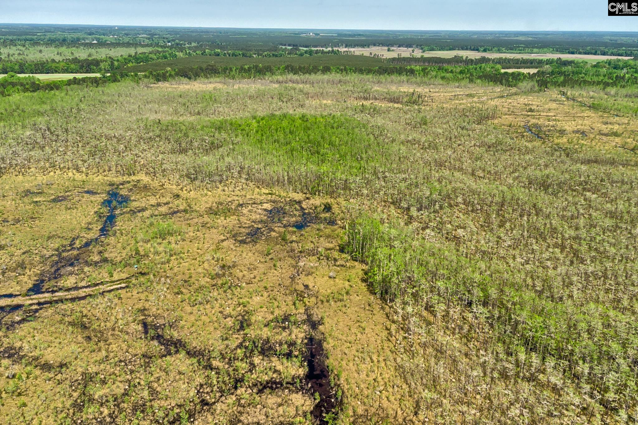 Tbd Alligator Road Olar, SC 29843 - Photo 20 of 24