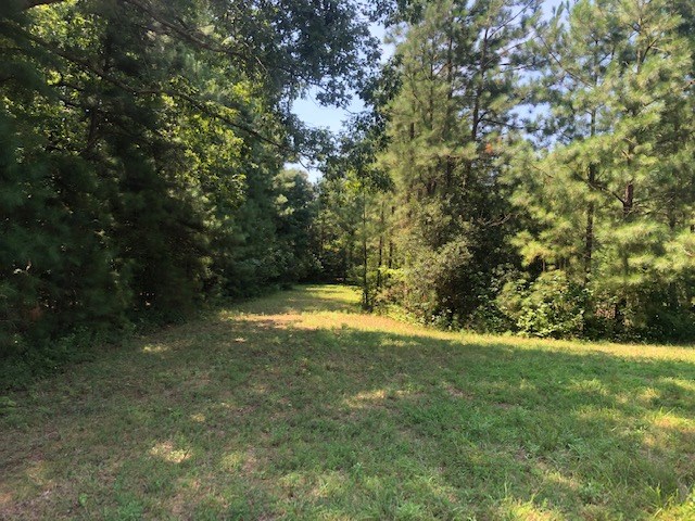 1 Mt Nebo Road, Unit 1 Onancock, VA 23417 - Photo 4 of 11