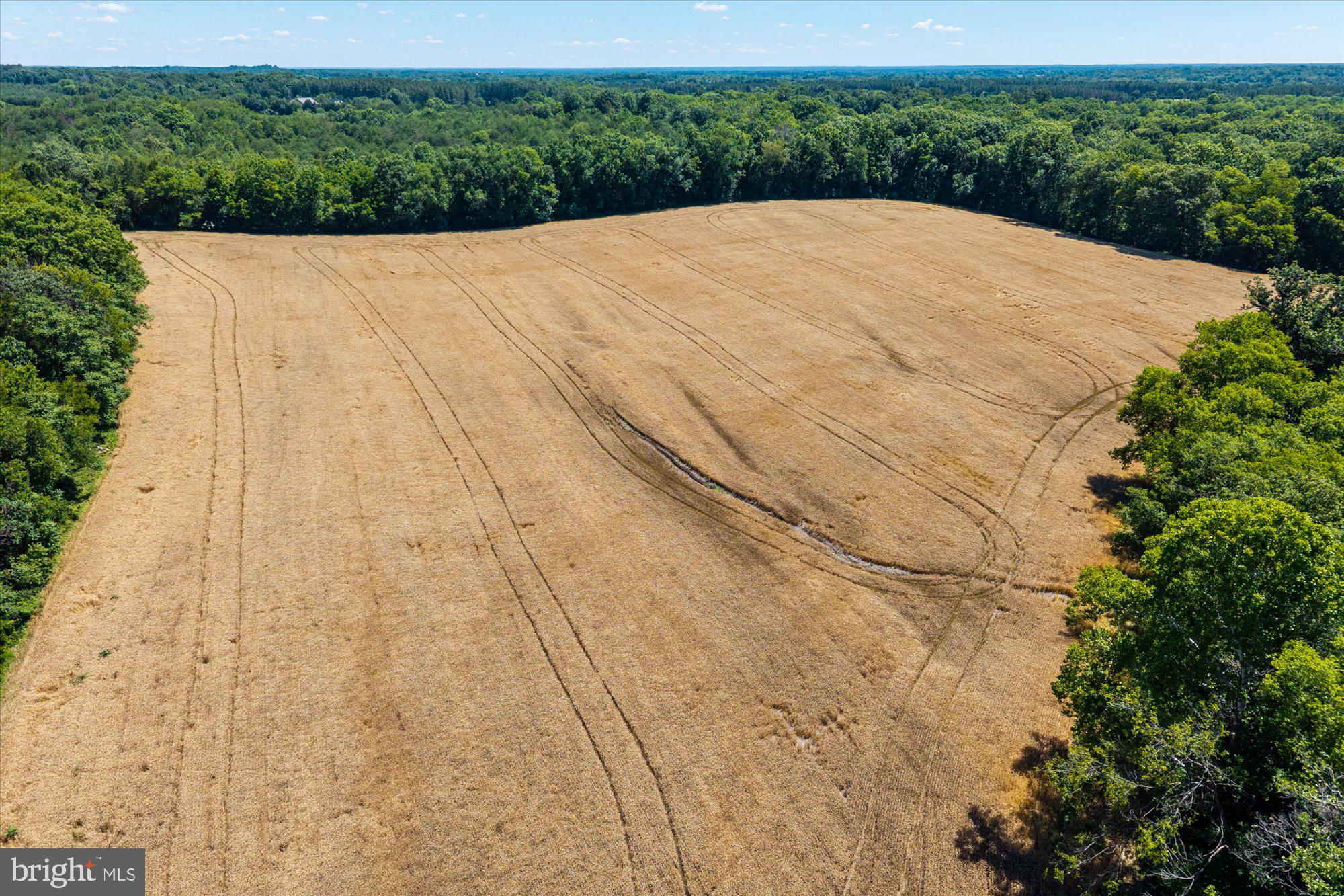4700 Midland Road Midland, VA 22728 - Photo 29 of 31 Vast golden field meets lush greenery.