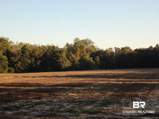 0 County Road 69 Robertsdale, AL 36567 - Photo 1 of 1