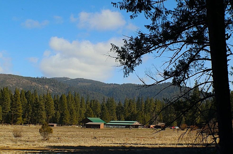 1000 Golden Feather Rnch Road Graeagle, CA 96103 - Photo 7 of 50