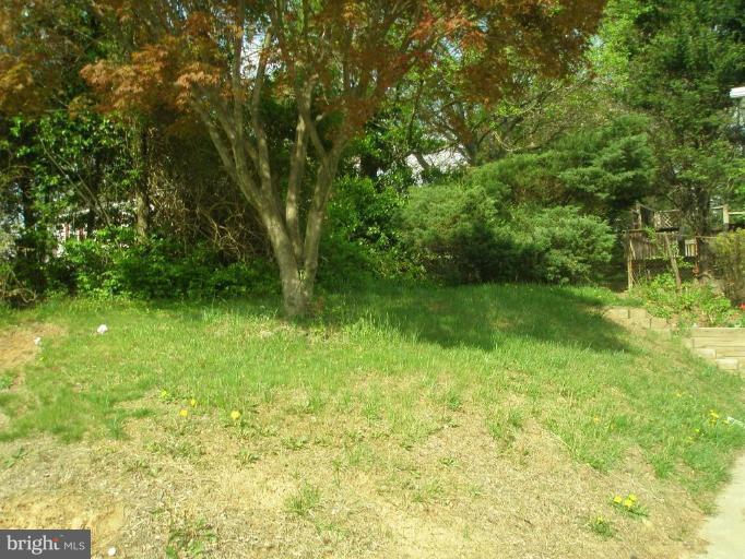 13001 Layhill Road Silver Spring, MD 20906 - Photo 18 of 19 a view of yard with green space