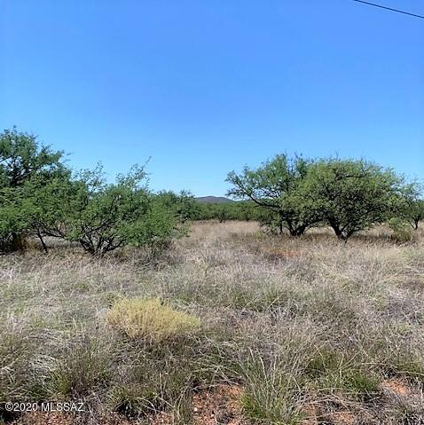 16005 West Ranger Road, Unit 171 Arivaca, AZ 85601 - Photo 3 of 17
