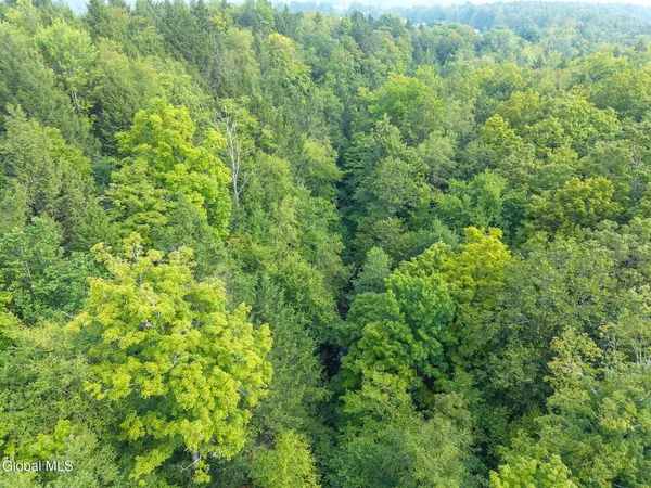 $124,900 | 402 Westerlo Ny 12193, Westerlo, NY 12193