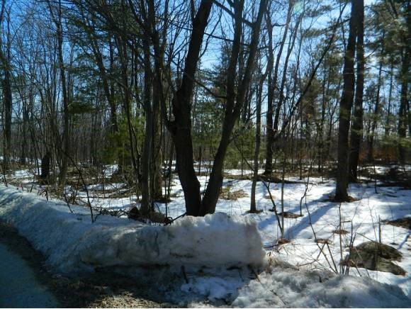1 Prescott Heights Road Hooksett, NH 03106 - Photo 1 of 1 Gallery Image 1