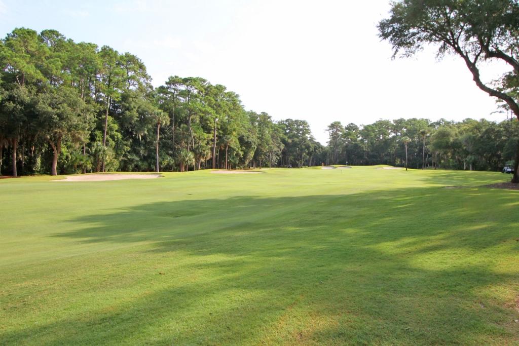 3071 Seabrook Island Road Seabrook Island, SC 29455 - Photo 15 of 15 3071 Seabrook Island Rd (35)0035