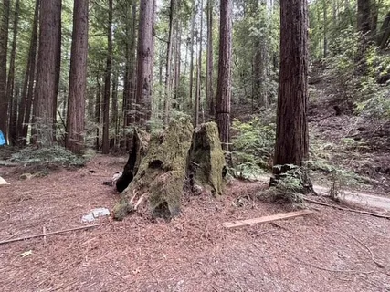 $550,000 | 501 Ryder Road, Scotts Valley, CA 95066