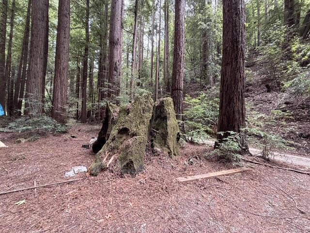 501 Ryder Road Scotts Valley, CA 95066 - Photo 36 of 36