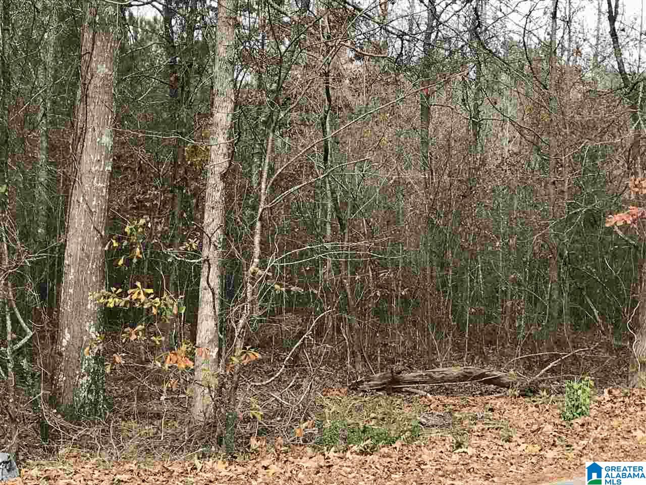 0 Walnut Drive Moody, AL 35004 - Photo 2 of 3
