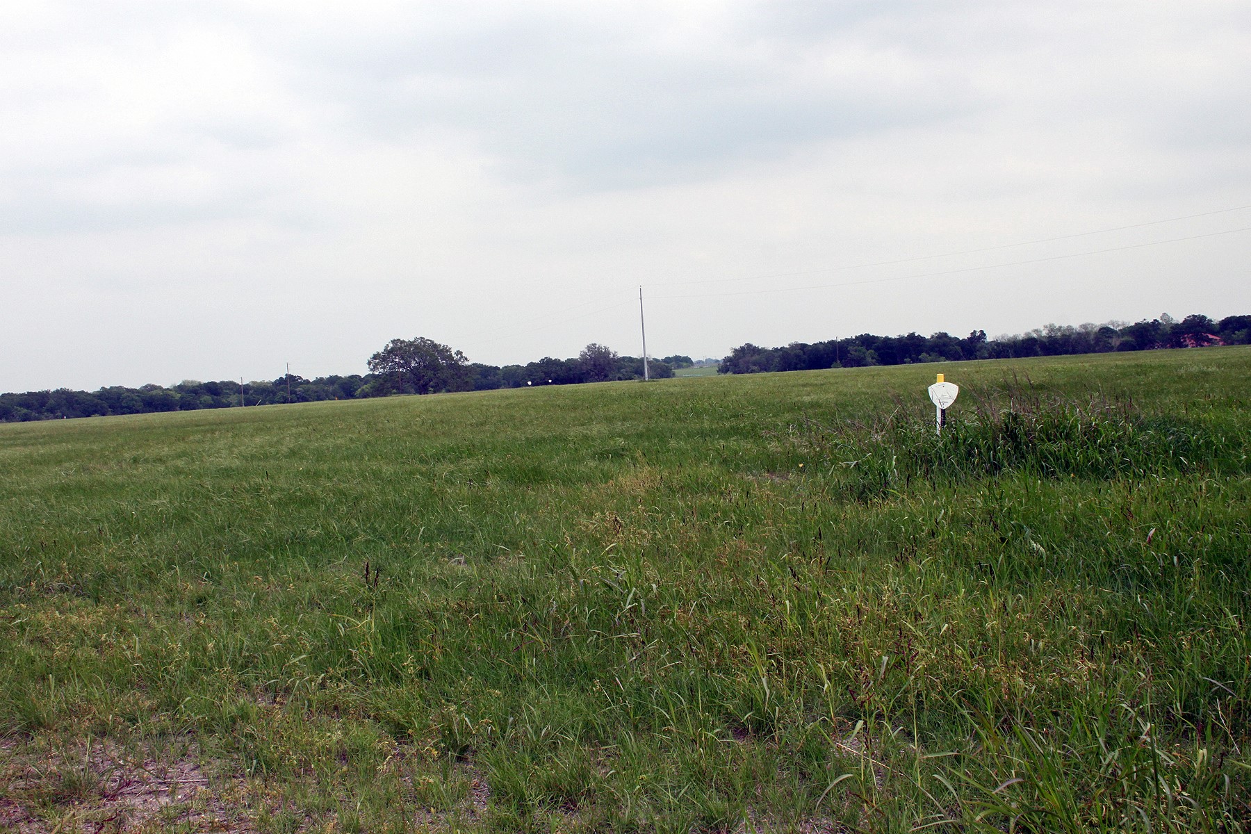 0 Brushy Branch Road Lockhart, TX 78644 - Photo 10 of 19 A sprawling green expanse awaits, offering endless possibilities for development.