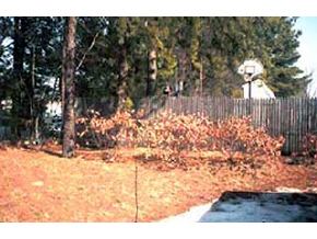 16 Hassel Brook Road Nashua, NH 03060 - Photo 3 of 3