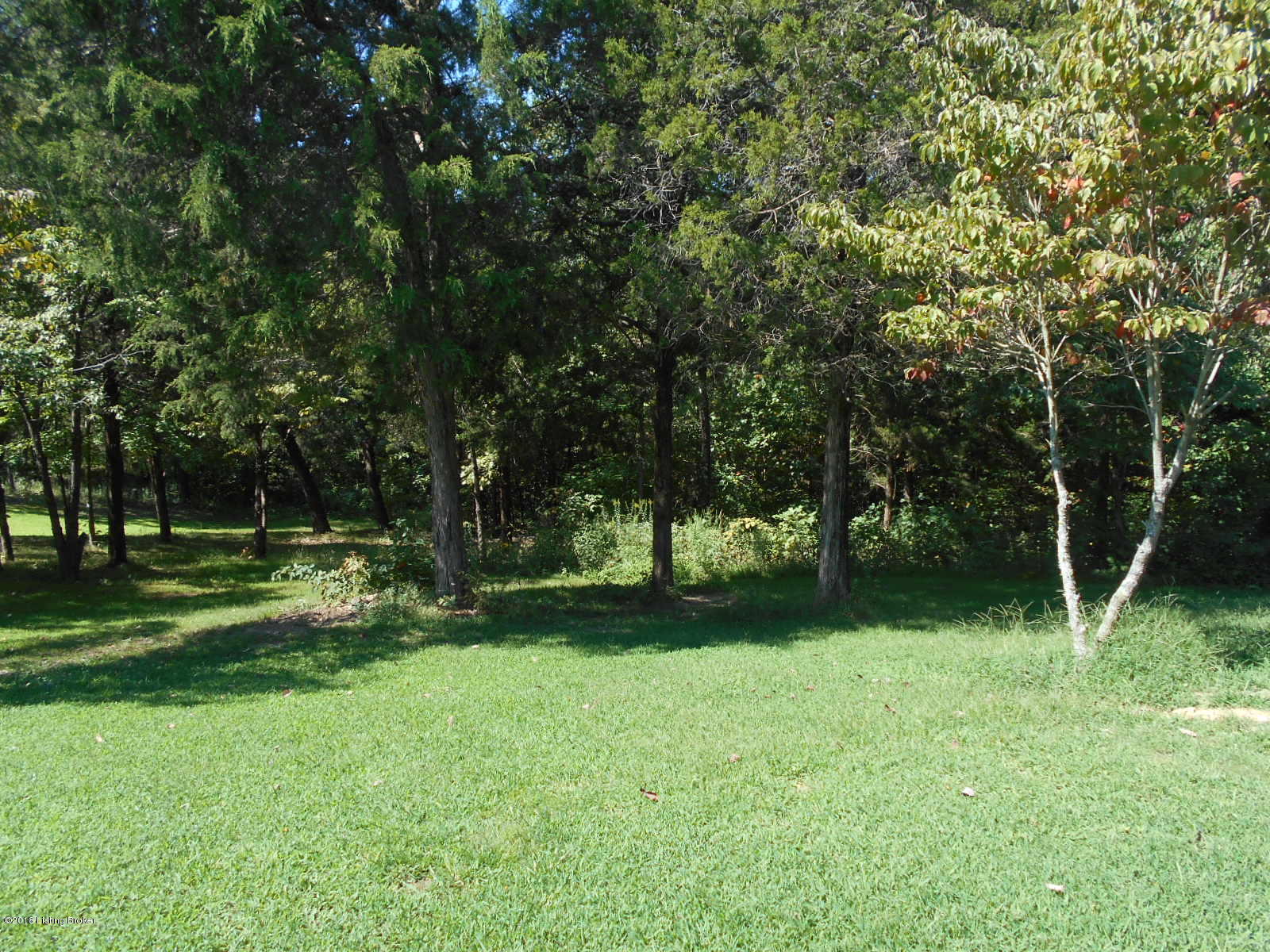 972 Kramer Road Clarkson, KY 42726 - Photo 21 of 47 DSCN0422