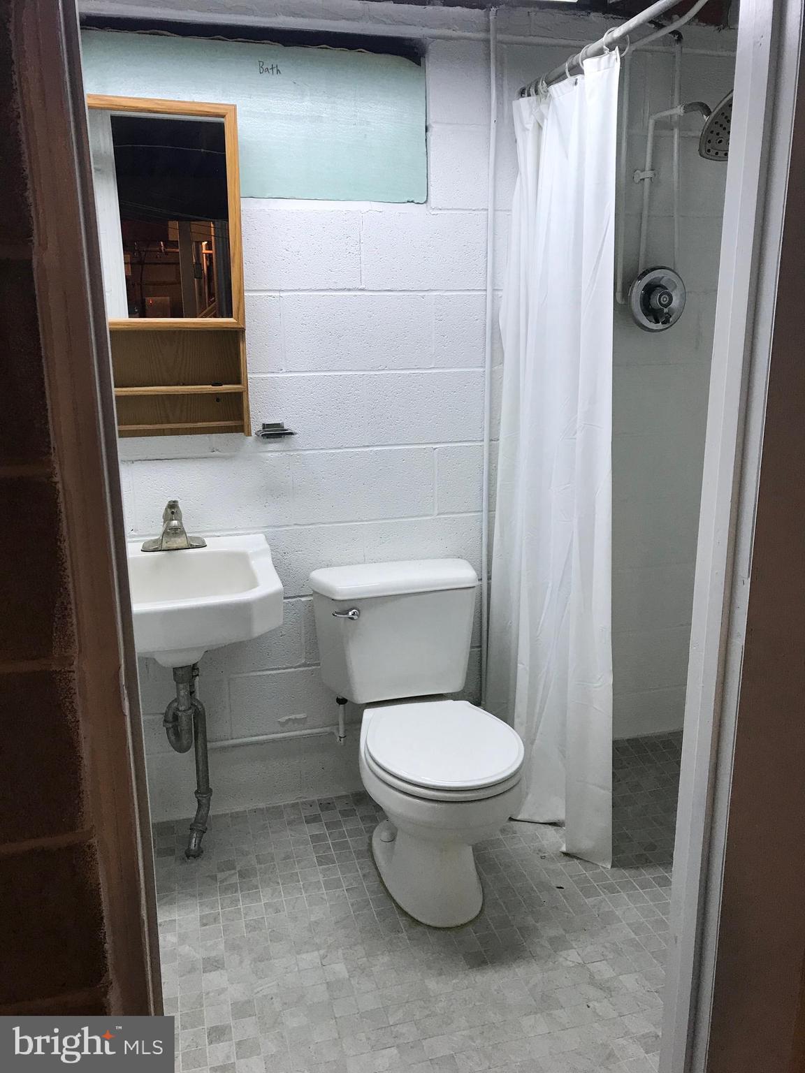 1265 Colebrook Road Lebanon, PA 17042 - Photo 10 of 11 Bathroom in Basement