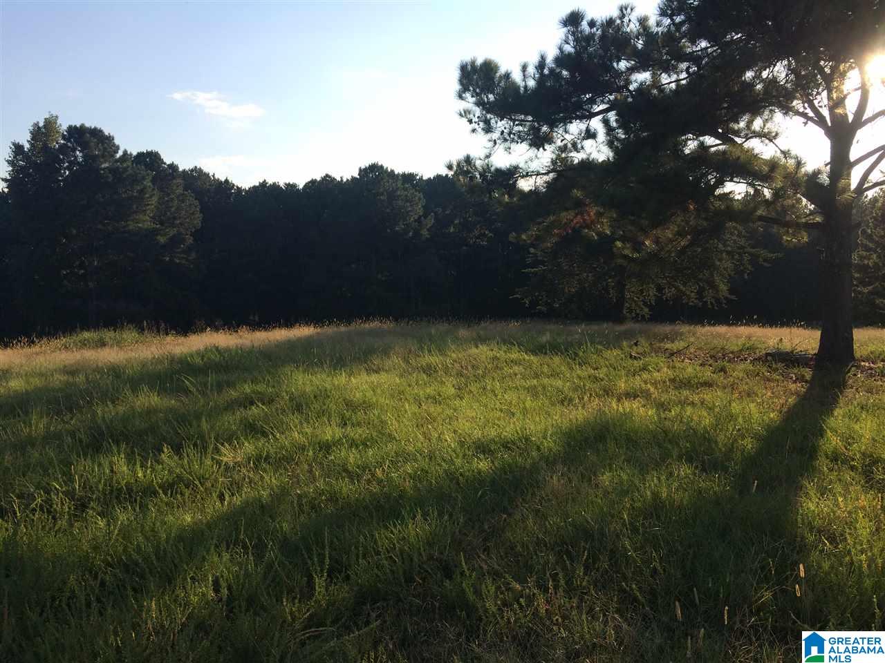 17999 Groundhog Road, Unit 40 Adger, AL 35006 - Photo 1 of 10