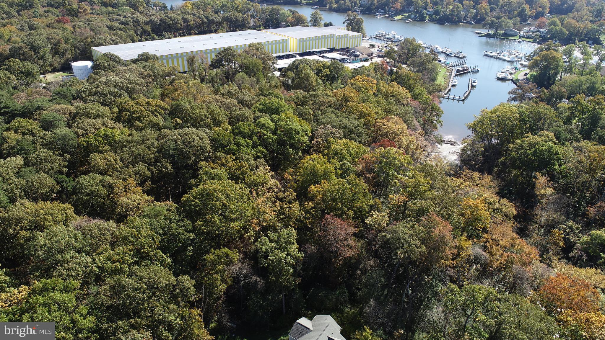 1714 Perry Cove Road Pasadena, MD 21122 - Photo 42 of 45 aerial view of water
