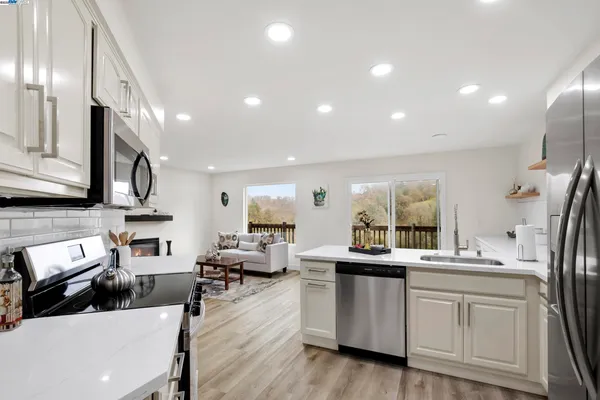 a kitchen with stainless steel appliances a sink a counter top space cabinets and a potted plant