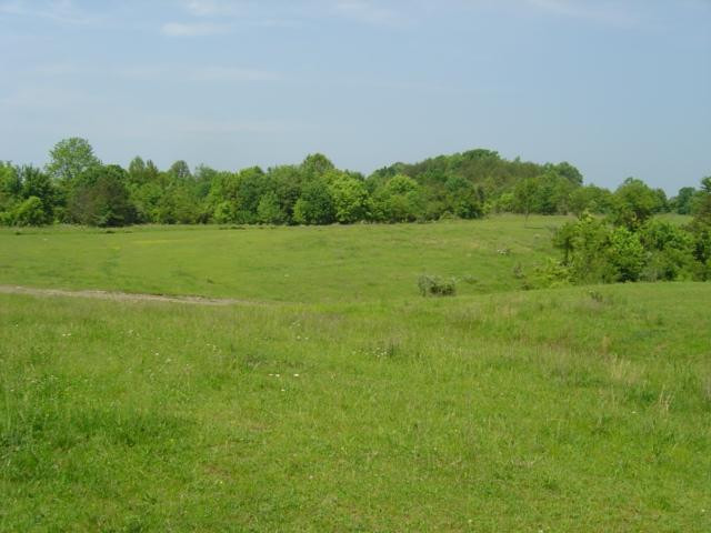 9999 Old Corbin Road London, KY 40744 - Photo 40 of 53 Photo 40