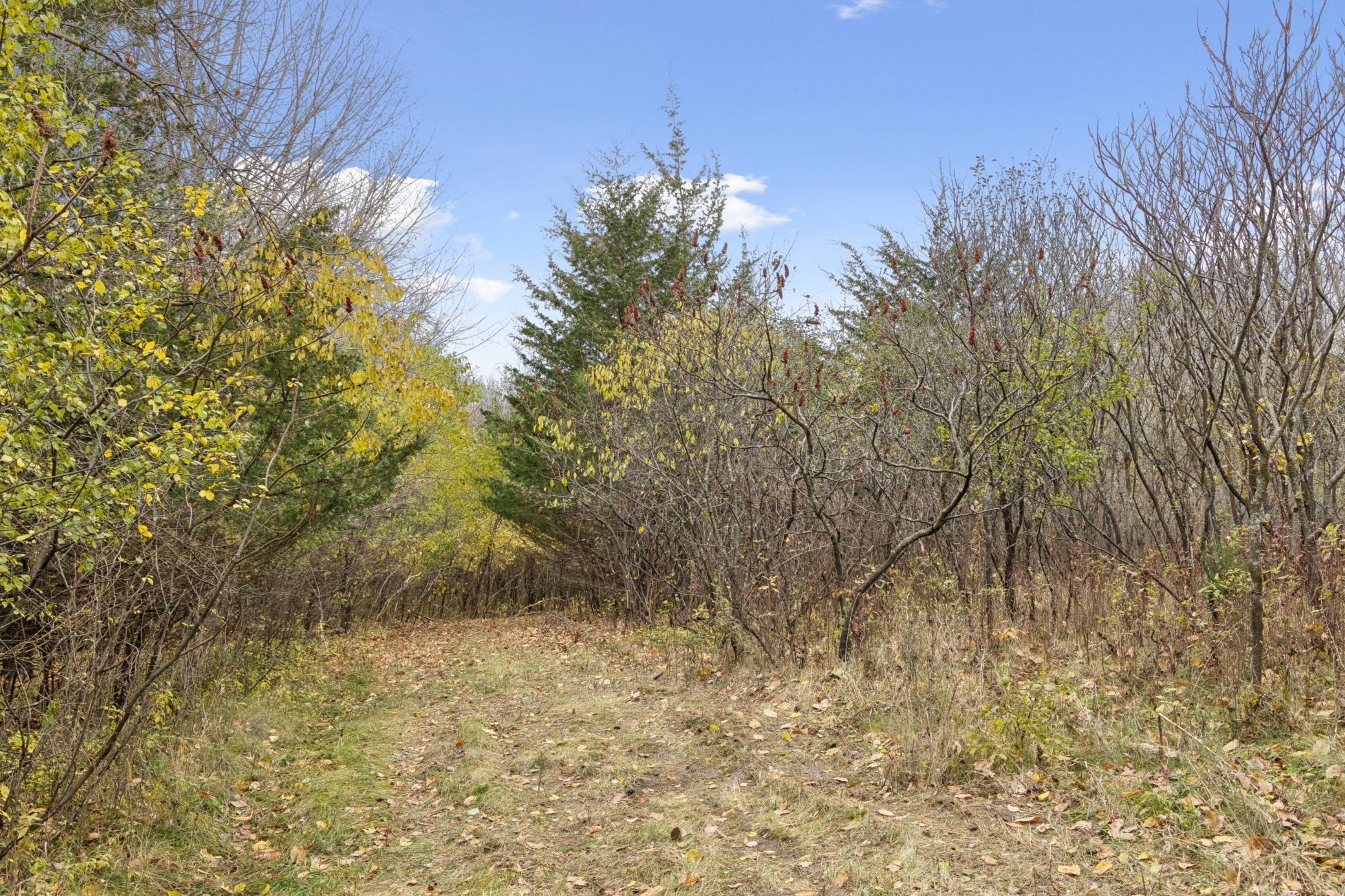 285 North Old Crystal Bay Road North Long Lake, MN 55356 - Photo 11 of 17