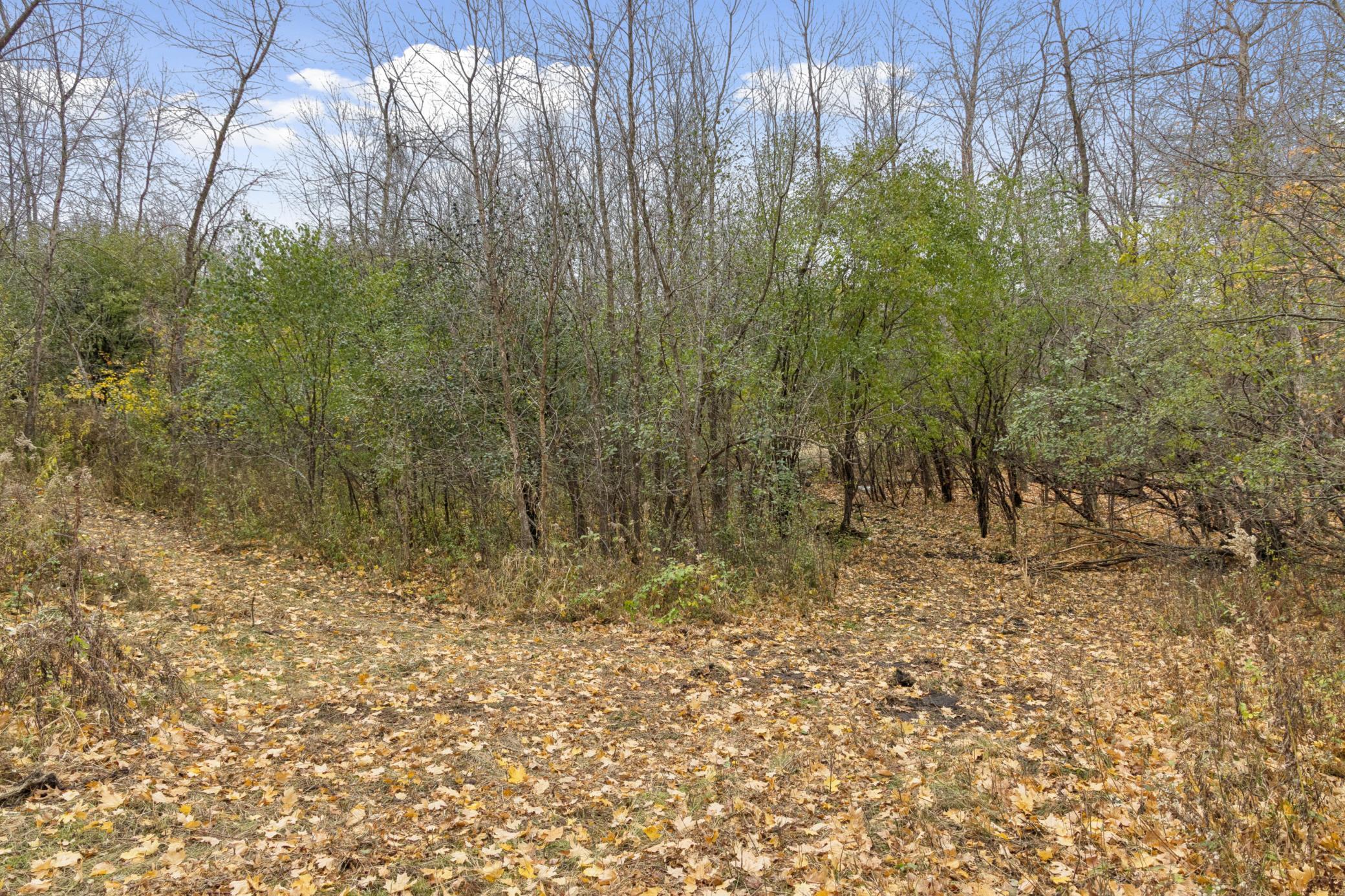 285 North Old Crystal Bay Road North Long Lake, MN 55356 - Photo 15 of 17