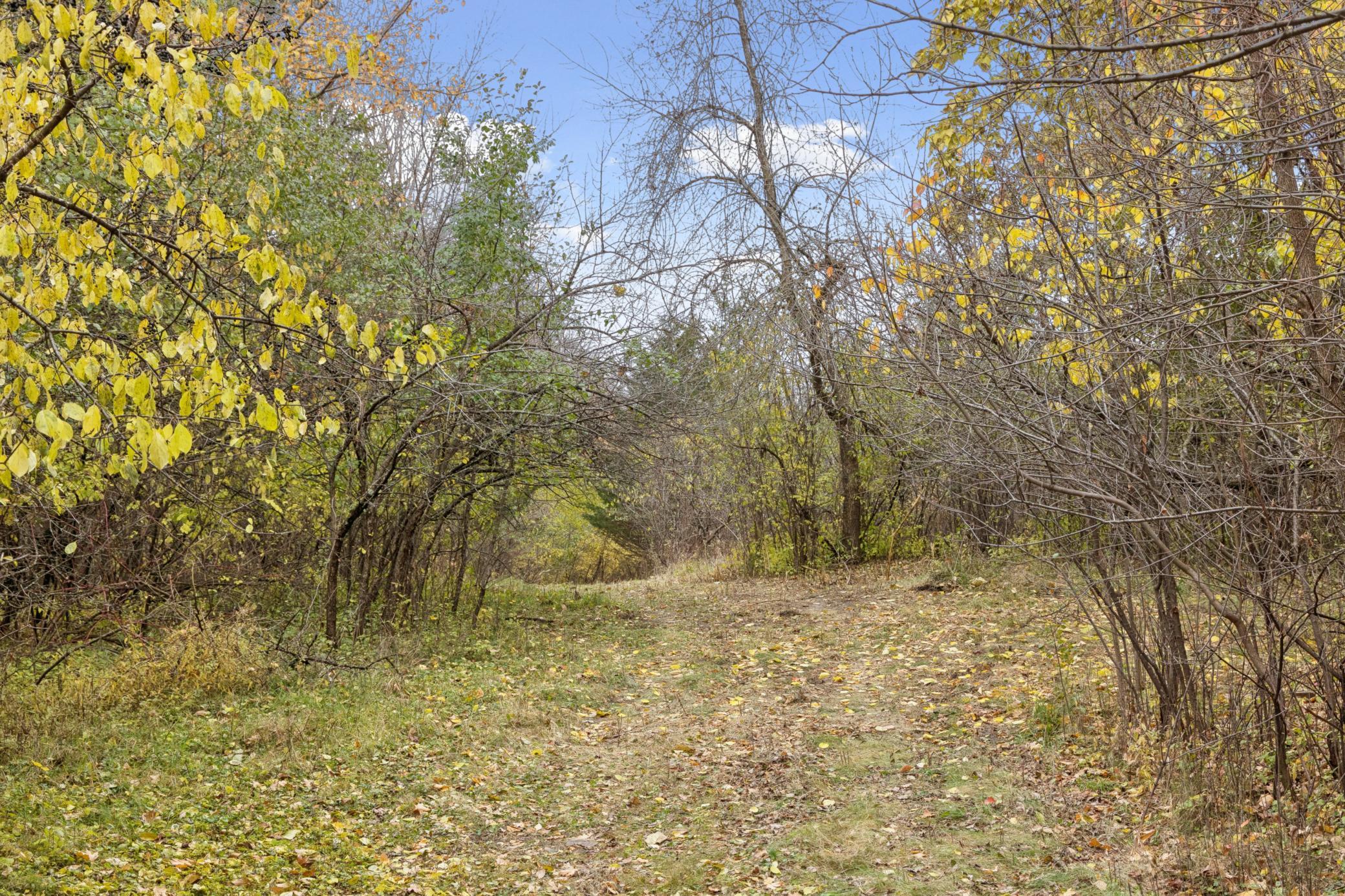 285 North Old Crystal Bay Road North Long Lake, MN 55356 - Photo 20 of 27