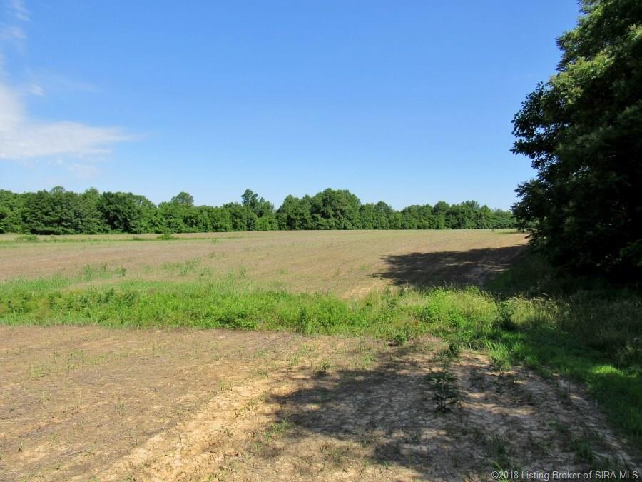 820 Fairview Church Road Southwest Corydon, IN 47112 - Photo 11 of 15