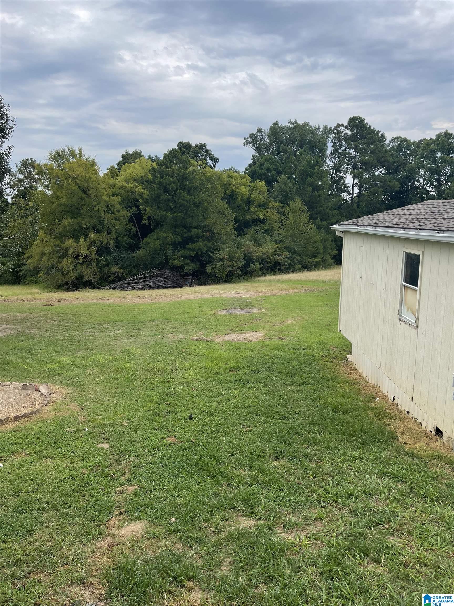 344 Rushing Springs Road Lincoln, AL 35096 - Photo 35 of 37