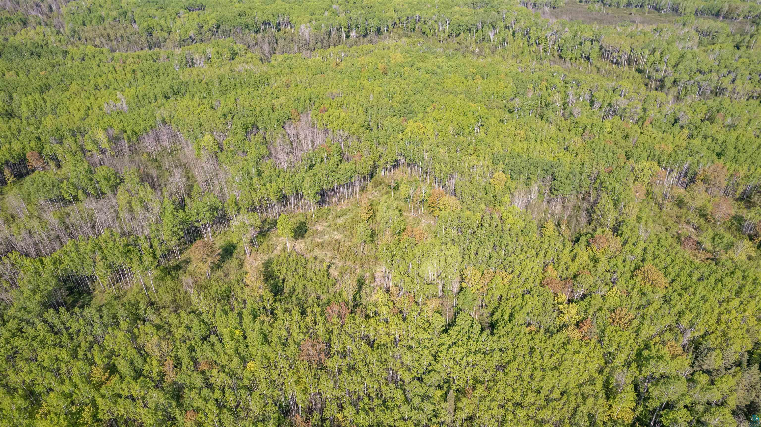 3679 22nd Road South Range, WI 54874 - Photo 12 of 48