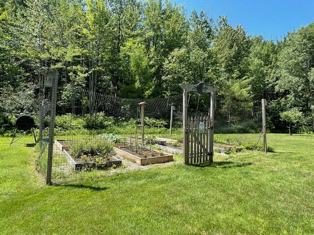 1047 Middle Road North Waterboro, ME 04061 - Photo 51 of 56 Garden