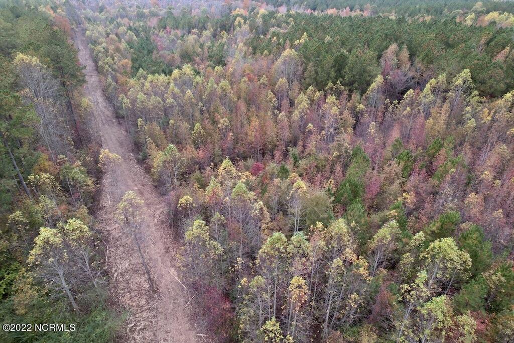 2 Beamon Hunt Road Warrenton, NC 27589 - Photo 4 of 13 4