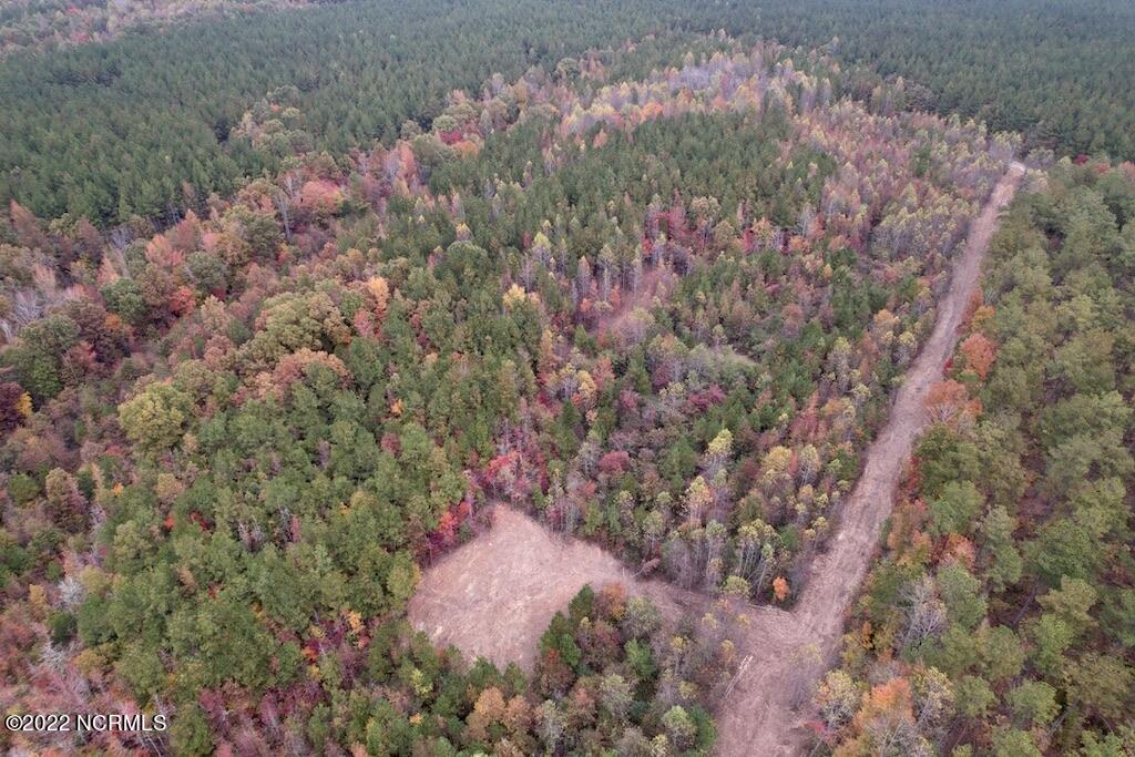 2 Beamon Hunt Road Warrenton, NC 27589 - Photo 7 of 13 7