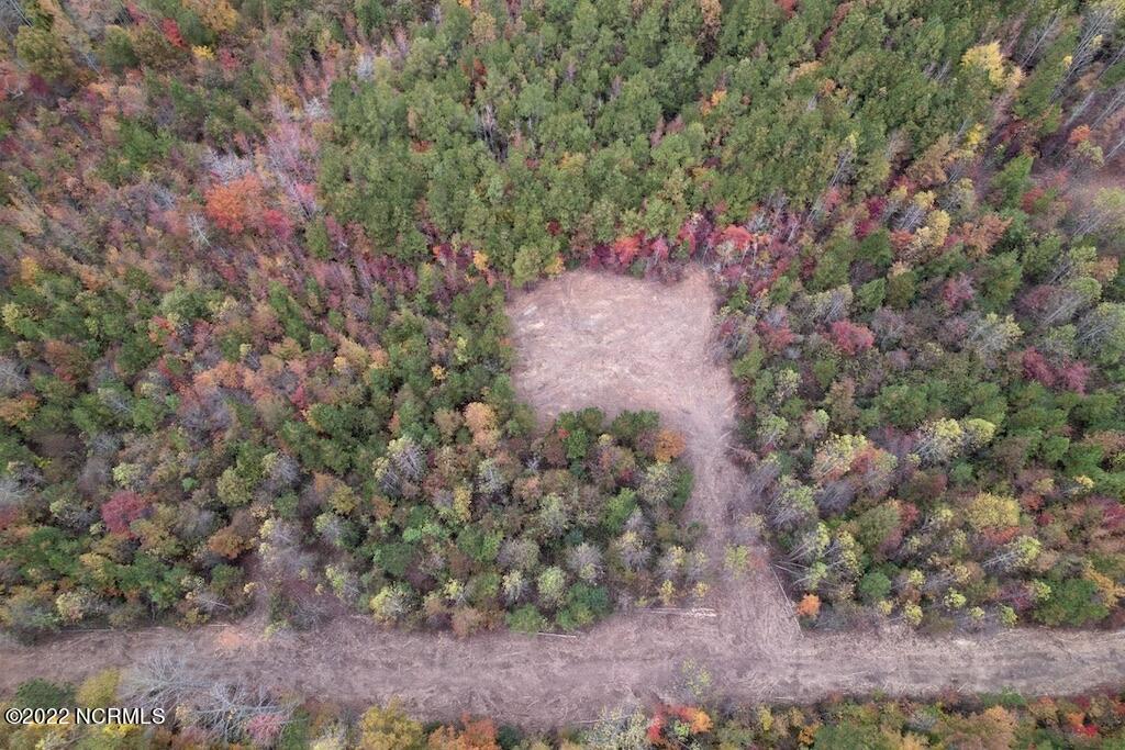 2 Beamon Hunt Road Warrenton, NC 27589 - Photo 8 of 13 8