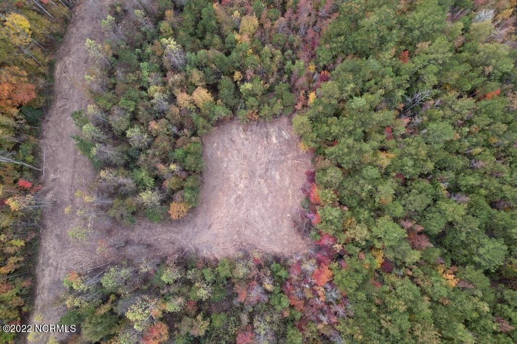 2 Beamon Hunt Road Warrenton, NC 27589 - Photo 9 of 13 9