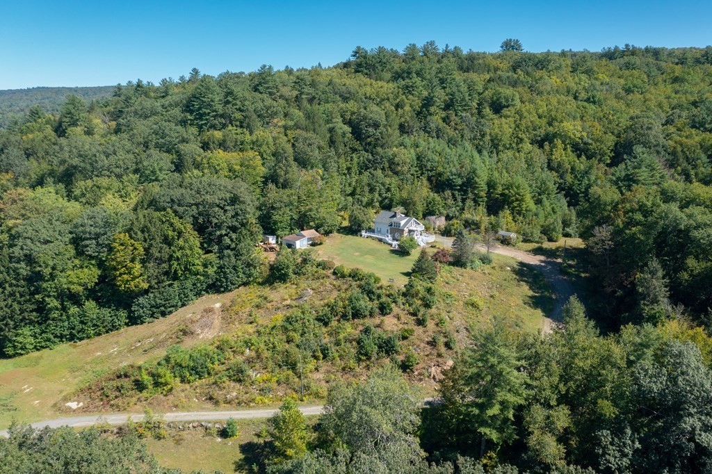 155 Worthington Road Huntington, MA 01050 - Photo 11 of 40 a view of a forest with a houses