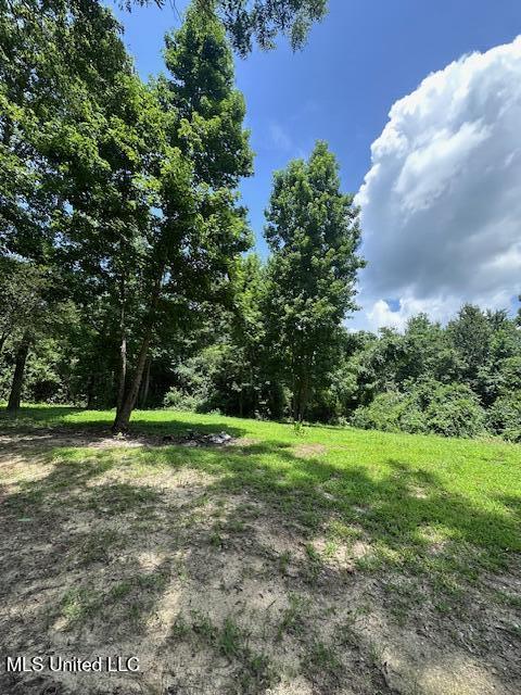 49 Old Highway Saucier, MS 39574 - Photo 2 of 2 IMG_3836 (1)