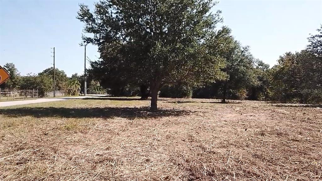 Keene Road Umatilla, FL 32784 - Photo 3 of 7 a view of a yard