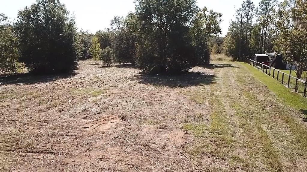 Keene Road Umatilla, FL 32784 - Photo 4 of 7