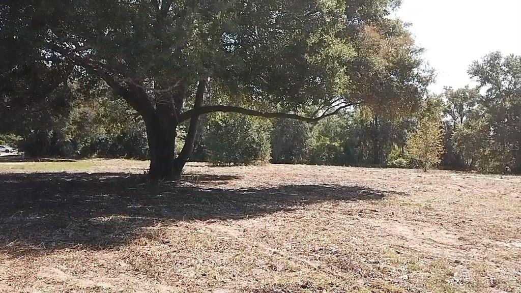 Keene Road Umatilla, FL 32784 - Photo 6 of 7 a view of yard covered with snow