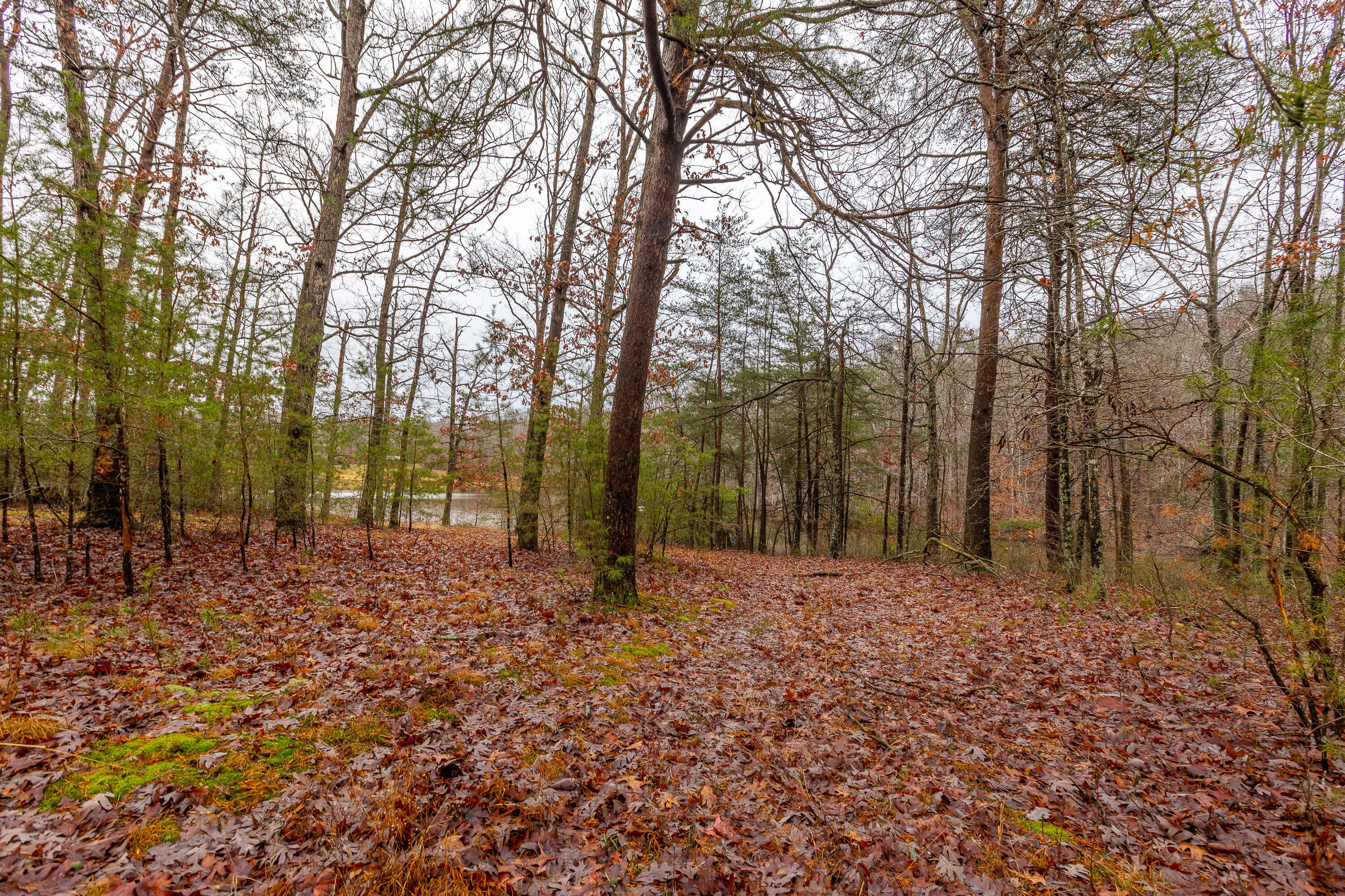 423 Gabbard Road Berea, KY 40403 - Photo 15 of 49 1-14
