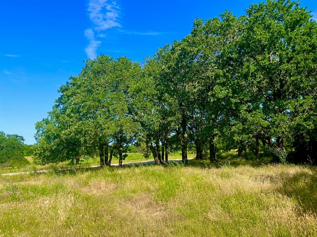 Lot 55-56 Kilkenny Road Poolville, TX 76487 - Photo 2 of 6 View of landscape