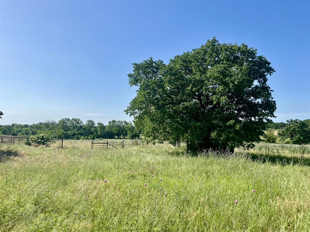 Lot 55-56 Kilkenny Road Poolville, TX 76487 - Photo 4 of 6 View of landscape with a rural view