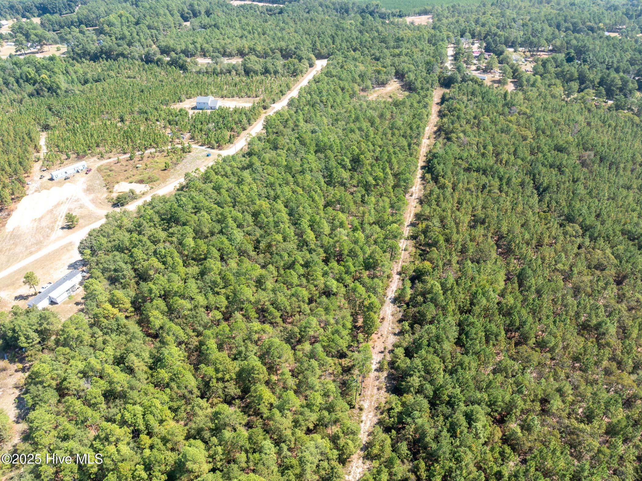 3 Green Lake Road Ellerbe, NC 28338 - Photo 12 of 18 DJI_0620