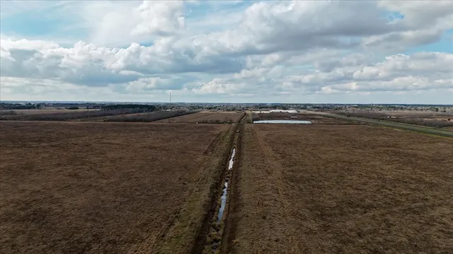 a view of a dry yard