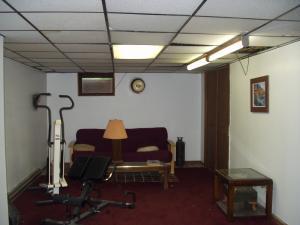 24 Dyson Road Swiftwater, PA 18370 - Photo 13 of 13 Lower Level Bedroom