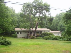 24 Dyson Road Swiftwater, PA 18370 - Photo 2 of 13 Rear of House